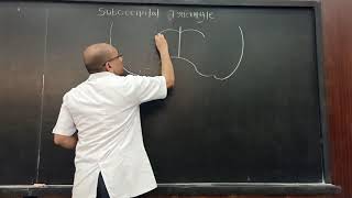 Suboccipital triangle Part I [upl. by Irolam]