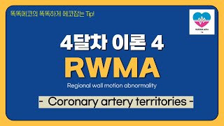 Coronary artery territories echocardiography 심장초음파 heart echo view coronaryartery territory [upl. by On]