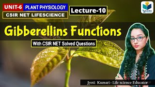 GIBBERELLIN FUNCTIONS PHYTOHORMONES PART10 CSIR NETPLANT BIOLOGY [upl. by Hescock75]