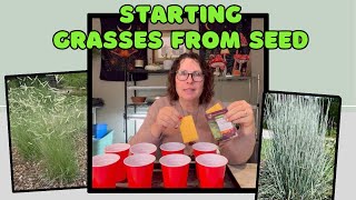 STARTING GRASSES FROM SEED INDOORS 🌾🌾 How You Can Easily Grow Your Own Ornamental Grasses [upl. by Ranger]