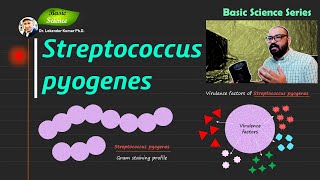 Streptococcus pyogenes  Bacitracin disk test  Microbiology  Bacteriology  Basic Science Series [upl. by Airamana]