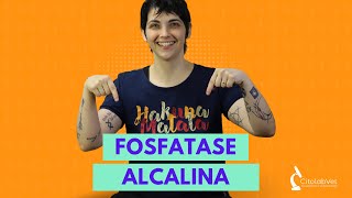 Fosfatase alcalina [upl. by Kyl]