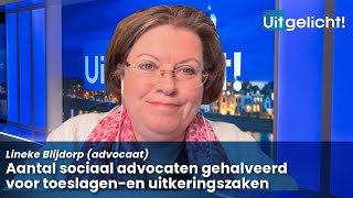 Uitgelicht 11 november 2024  Lineke Blijdorp over de halvering van het aantal sociaal advocaten [upl. by Ataner]