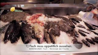 Fisch 6 Merkmale der Frische [upl. by Ekez448]