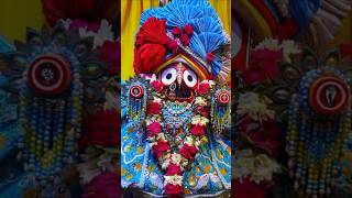 New Jagannath bhajan whatsapp status bhajan shortsvideo jagannath odiaopinion [upl. by Gwenn333]