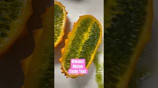 Kiwano Melon Taste Test [upl. by Robbin]