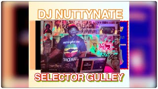 DANCEHALL MIX VOL 2 By DJ NUTTYNATE SELECTOR GULLEY [upl. by Airalav]