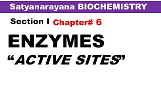 Chp6 Satyanarayana Biochemistry  Active Sites on Enzymes  Biochemistry Lectures [upl. by Hannon825]