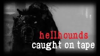 REAL HELLHOUNDS CAUGHT ON TAPE  The Ouija Brothers [upl. by Lalise100]