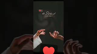 ibadat Mohabbat ki karte hue ♥️🥀 [upl. by Launam506]