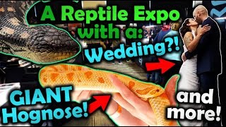 Attending the Most Epic Tinley Reptile Show Ever [upl. by Thibaut]