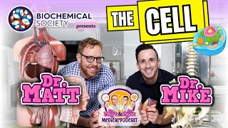 The Cell  Dr Matt amp Dr Mikes Medical Podcast [upl. by Ydac626]