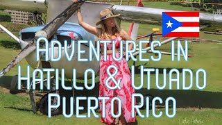 Visiting Hatilllo and Utuado Puerto Rico Villa Madera Tripurrias Hummingbirds and More [upl. by Eillib485]