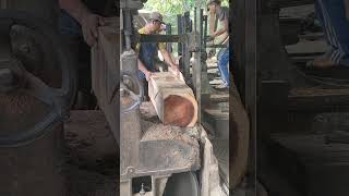 Balok bahan Stol Trembesi 1 wood sawmill india brazil russia [upl. by Porett]