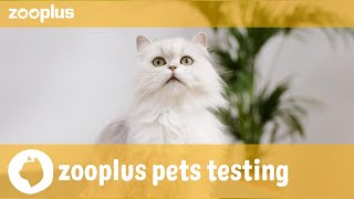 Denver  zooplus pets testing Royal Canin Hair amp Skin Care [upl. by Laved]