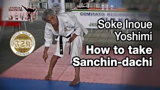 Soke Inoue Yoshimi  How to take Sanchindachi  Seminar Italy 2013 [upl. by Dimah909]