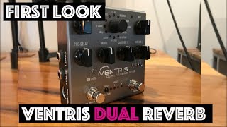 Ventris Dual Reverb by Source Audio  First Look [upl. by Grishilda374]