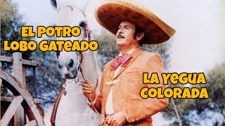 El Potro Lobo Gateado  Antonio Aguilar [upl. by Lancelot626]