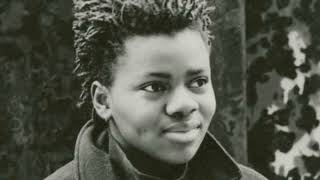 Tracy Chapman Across the Lines Instrumental [upl. by Niwle]