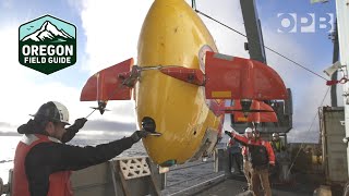 What Axial Seamount can teach us about predicting volcanic eruptions  Oregon Field Guide [upl. by Hershel]