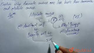 Explain why aromatic amines are less basic than ammonia and aliphatic amines  CLASS 12  ORGAN [upl. by Squire]