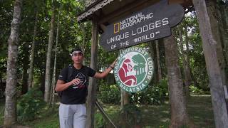 Sukau Rainforest Lodge  National Geographic Unique Lodges of the World [upl. by Iram]