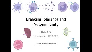 Immunology Fall 2023 Lecture 28 Breaking Tolerance [upl. by Philana]