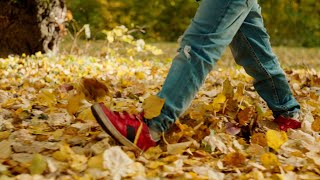 Crunching Leaves Sounds for Sleep  Relaxing Background Noise  Autumn Wind  Meditation  Relax [upl. by Kieger]