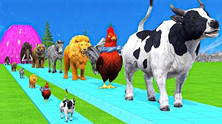 Paint amp Animals CowGorillaElephantGiraffeTigerLion Fountain Crossing Transformation Cartoon [upl. by Koran495]