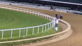 Immersive 5 Furlong workout at Churchill Downs  102524 [upl. by Neurath]