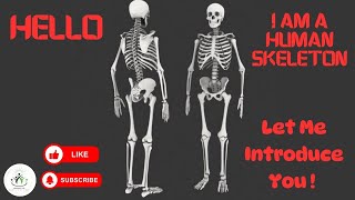 Introduction to Human Skeleton System explained in 3D Animation [upl. by Dlanigger]