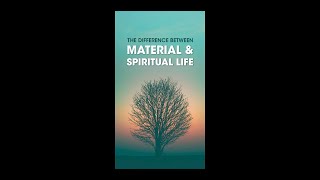 The Difference between Material amp Spiritual Life  Sri Amitasana Dasa [upl. by Aissilem]