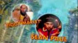 3 Little Birds REMIX By Sean Paul amp Ziggy Marley [upl. by Aicek503]