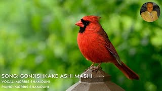 Gonjishkake Ashi Mashi  Farhad Mehrad  Morris Shamouni  Piano Music [upl. by Forsyth]