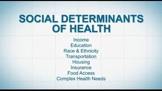 Social Determinants of Health [upl. by Ayomat]