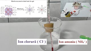 Dizolvarea endotermă a clorurii de amoniu în apă [upl. by Carbrey]