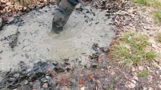 210420121 Aigle Parcours Vario cleaning in a puddle [upl. by Enelrahs]