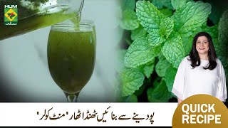 Mint Cooler Recipe By MasalaTV  Quick Easy Special Summer Refreshing Drink [upl. by Miguela]