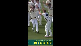 Hattrick ✨ What you might have missed in the SheffieldShield [upl. by Niroc]