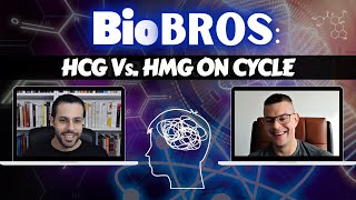 BioBros The Supraphysiologic Man Episode 2  HCG on Cycle  Allopurinol amp Uric Acid [upl. by Phaedra766]