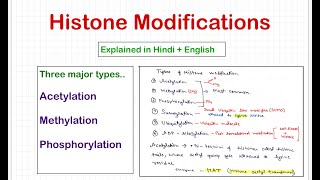 Histone Modifications [upl. by Peggir588]