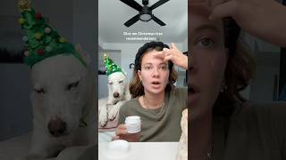 Help me Christmas tree shop🎄🎄 dogshorts grwm makeup dog pets christmas holidays puppy [upl. by Adnilram127]