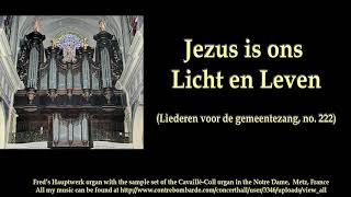 Jezus is ons Licht en Leven Liederen voor de gemeentezang 222 [upl. by Cleti]