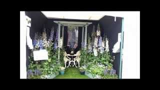 The Delphinium Society at the 100th Chelsea Flower Show 2013 [upl. by Ball741]