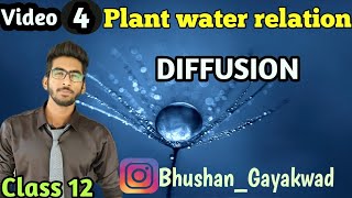 Diffusion  Diffusion pressure deficit  Part 4 plant water relation class 12 biology [upl. by Jemie]