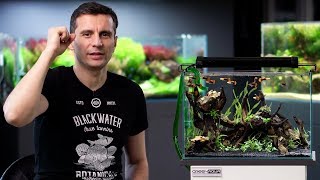 HOW TO BUILD A LOW BUDGET PLANTED TANK [upl. by Herrle62]