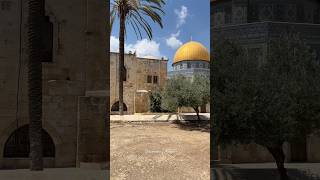 The Dome of the Rock on the Temple Mount Jerusalem Israel 2024 [upl. by Anaibib]