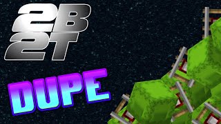 Minecraft WORKING 2B2T Dupe Glitch 3172022 NEW [upl. by Ulyram]