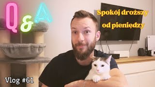 QampA spokój droższy od pieniędzy 😅 Vlog 61 [upl. by Diane]