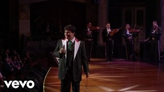 Juan Gabriel  Así Fue En Vivo Desde Bellas Artes México 2013 [upl. by Akceber]